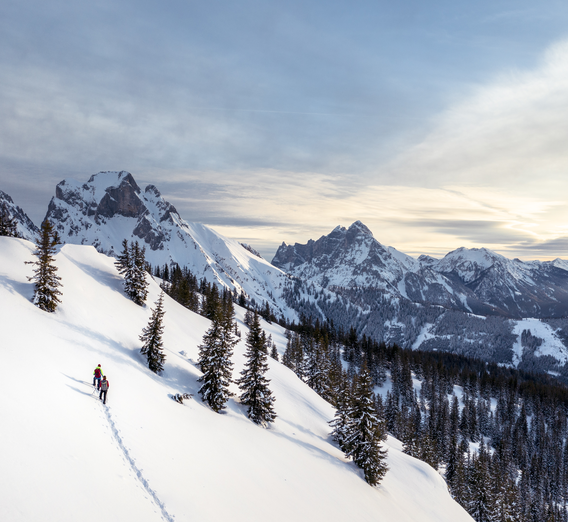 Schneeschuhwandern | © Stefan Leitner | © Stefan Leitner