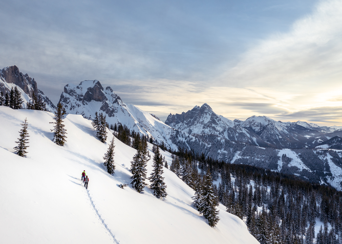 Schneeschuhwandern | © Stefan Leitner