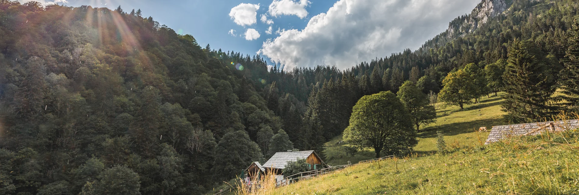 © thomas sattler photography | Thomas Sattler