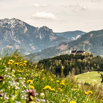 Ardningrunde016-c-Christian Scheucher_TVGesaeuse