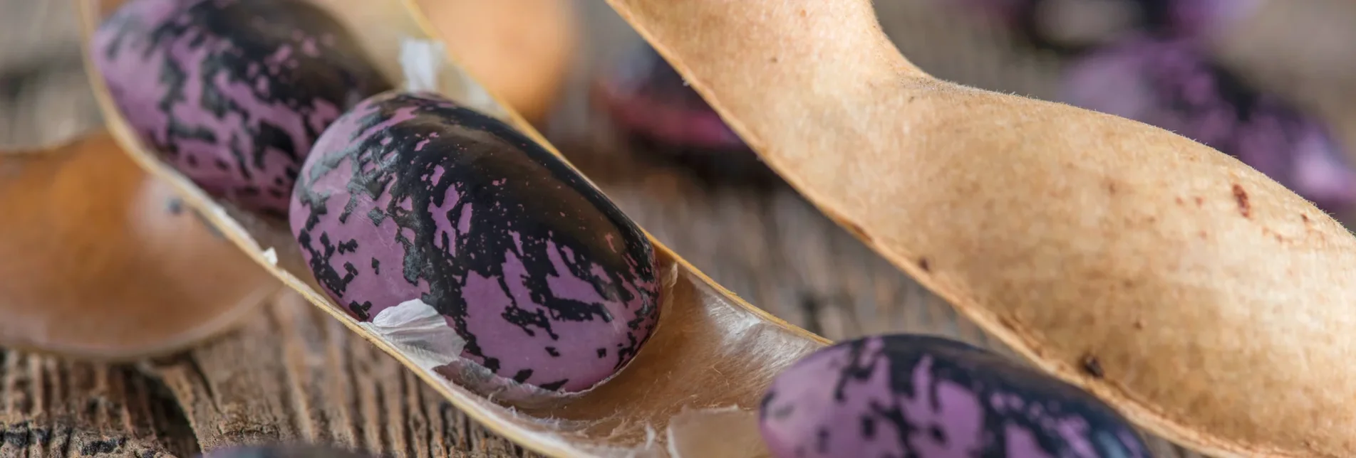 Styrian beetle beans | © Thermen- & Vulkanland | Bernhard Bergmann