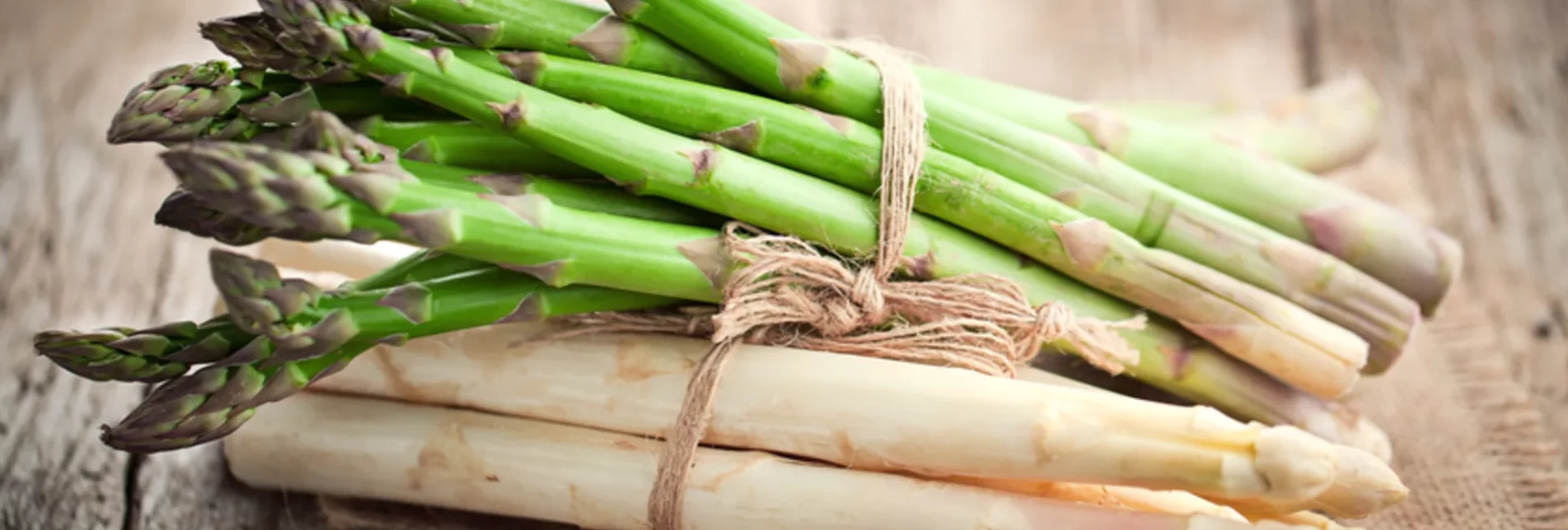 Fresh asparagus | © Steirerspargel | Hofladen Brugner Bad Blumau 