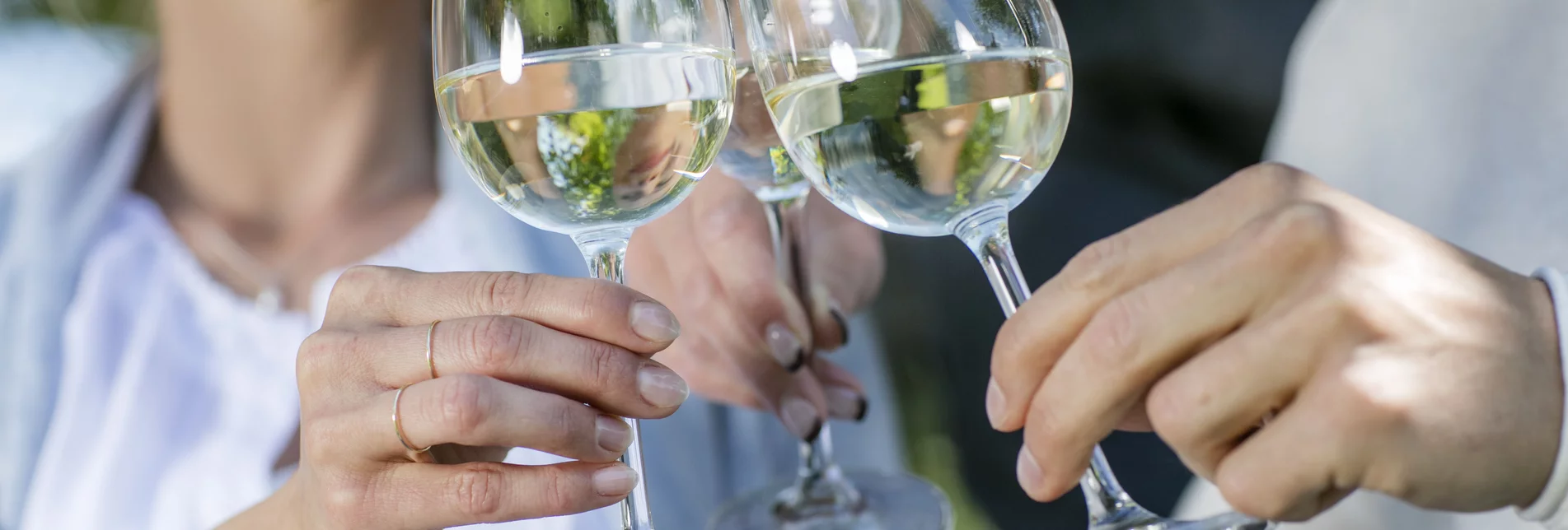 In vino veritas - in wine lies the truth | © Thermen- & Vulkanland | Harald Eisenberger