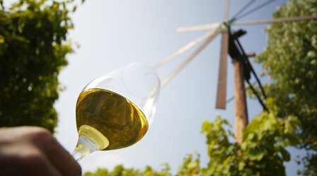 Glas of wine with Klapotetz | © Thermen- & Vulkanland | Harald Eisenberger