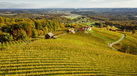 Weingärten Klöch im goldenen Herbst | © Thermen- & Vulkanland | pixelmaker.at