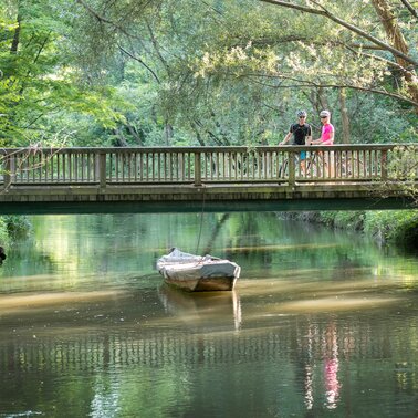 Radfahren Biken UNESCO Biosphärenpark Murauen Brücke Sommer Steiermark Fluss Wasser Boot Natur Landschaft Bewegung Freude Bäume
