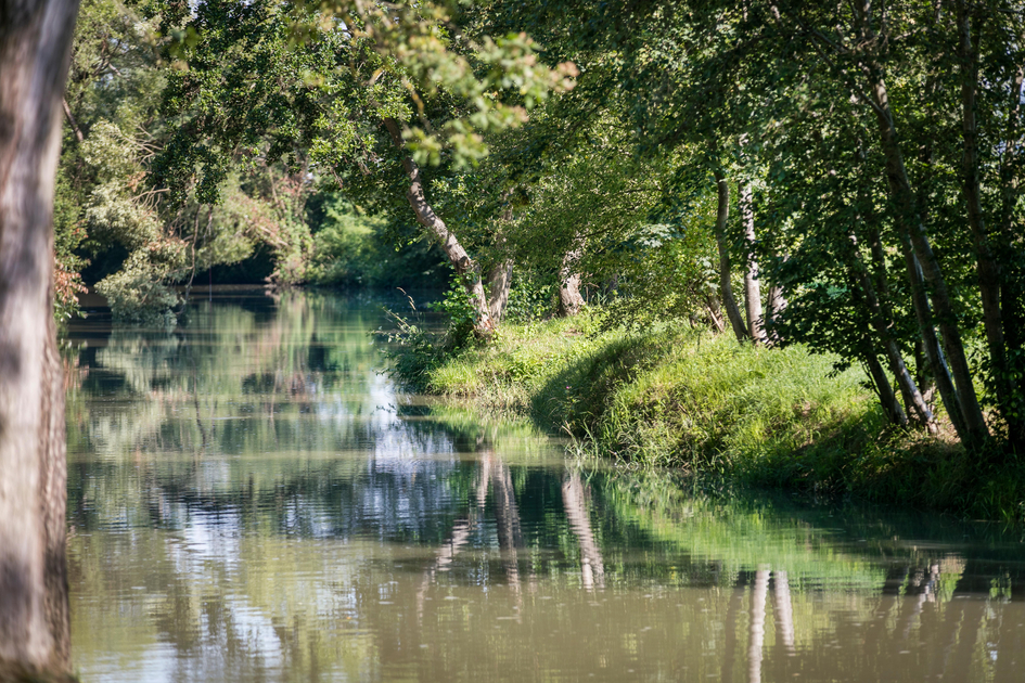 Fürstenfelder Gegend Au der bike4elements Wassertour | © Thermen- & Vulkanland | Harald Eisenberger
