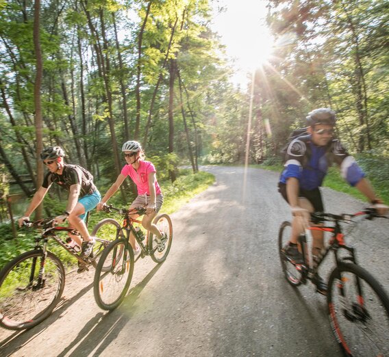 Radfahren durch den UNESCO Biosphärenpark in den Murauen | © Thermen- & Vulkanland | Harald Eisenberger