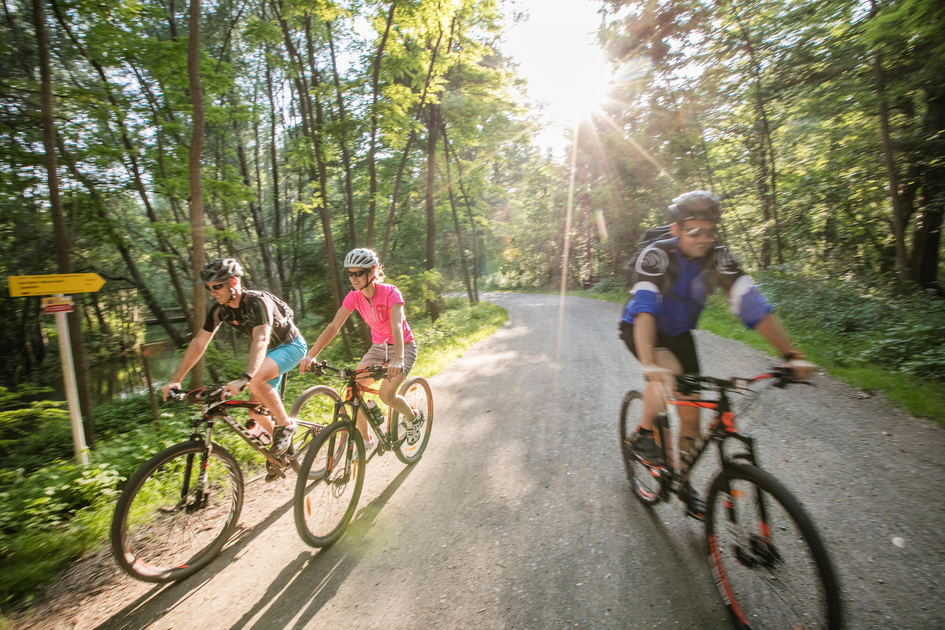 Radfahren durch den UNESCO Biosphärenpark in den Murauen | © Thermen- & Vulkanland | Harald Eisenberger