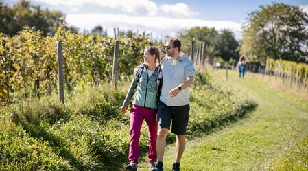 Wine-hiking | © Thermen- & Vulkanland | Harald Eisenberger
