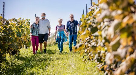 Genusswandern im Südosten der Steiermark | © Thermen- & Vulkanland | Harald Eisenberger