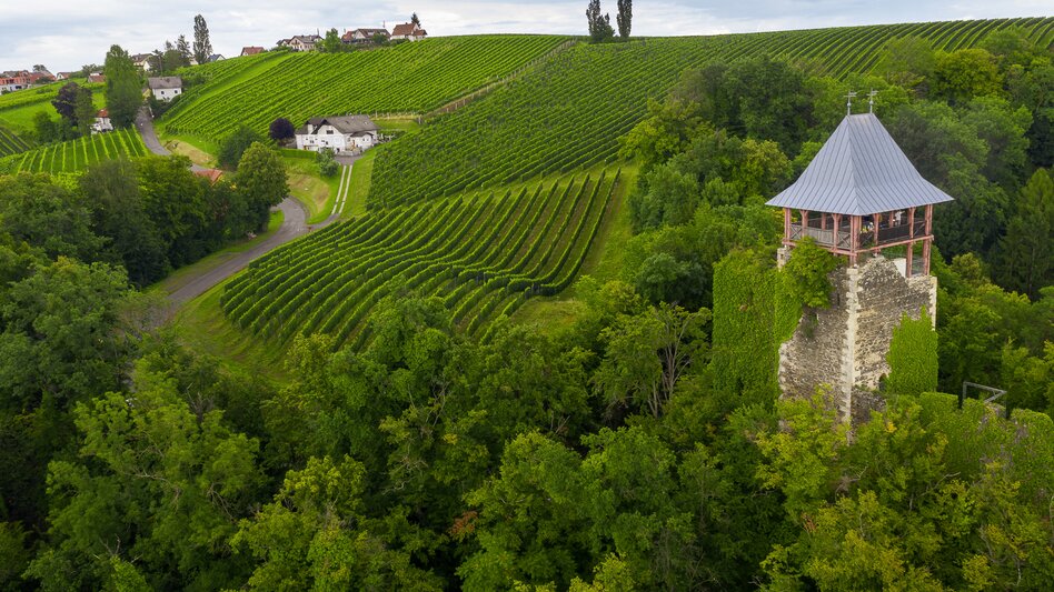 Burgruine Klöch mit Aussichtsturm inmitten grüner Weingärten.