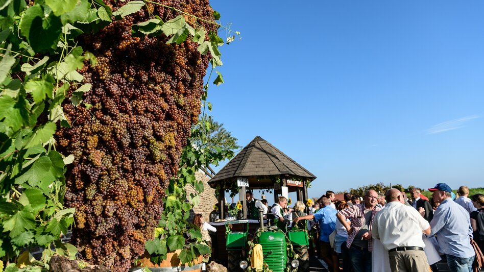 Winzerzug in Klöch im Thermen- & Vulkanland Steiermark