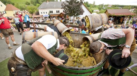 Grape Pressing Festival in Klöch | © Harald Eisenberger | © Tourismusverband Thermen- & Vulkanland | Harald Eisenberger