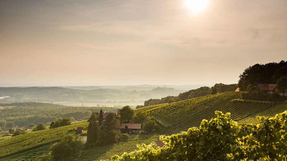 Blick nach Straden im Südosten der Steiermark