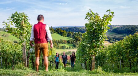 Weinwandern | © Gemeinde Unterlamm | Hannes Wagner