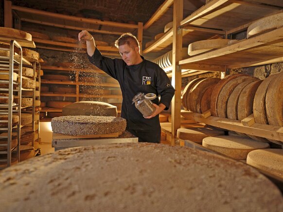 Cheeseartist streut Gewürze über Käse in Käselager