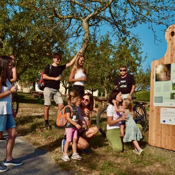 Genusstour in Bad Waltersdorf
