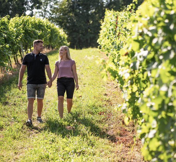 Weinwandern im Thermen- & Vulkanland | © Thermen- & Vulkanland | Kump Photography