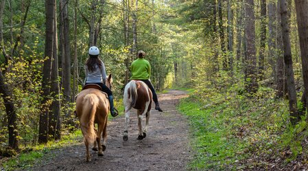 Two women horseback riding in the forest. | ©Lorne - stock.adobe.com | Lorne Chapman