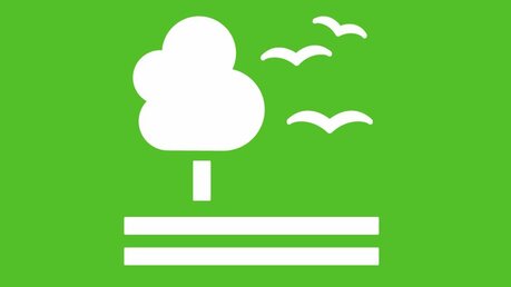 TV Oststeiermark | Nicole Friesenbichler