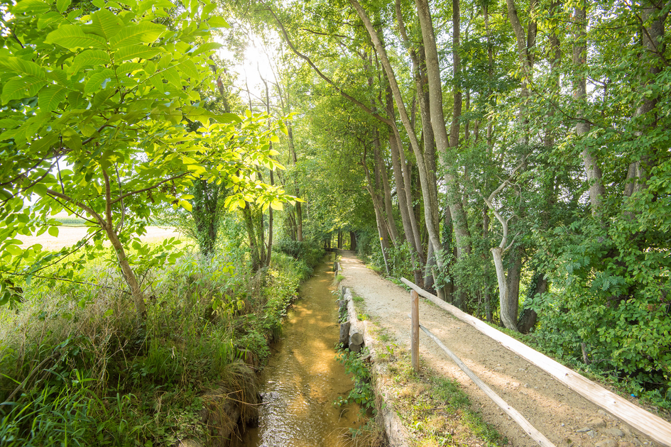Barrierefreies Wandern in der Hinterbrühl in der Oststeiermark | © TV Oststeiermark | Helmut Schweighofer