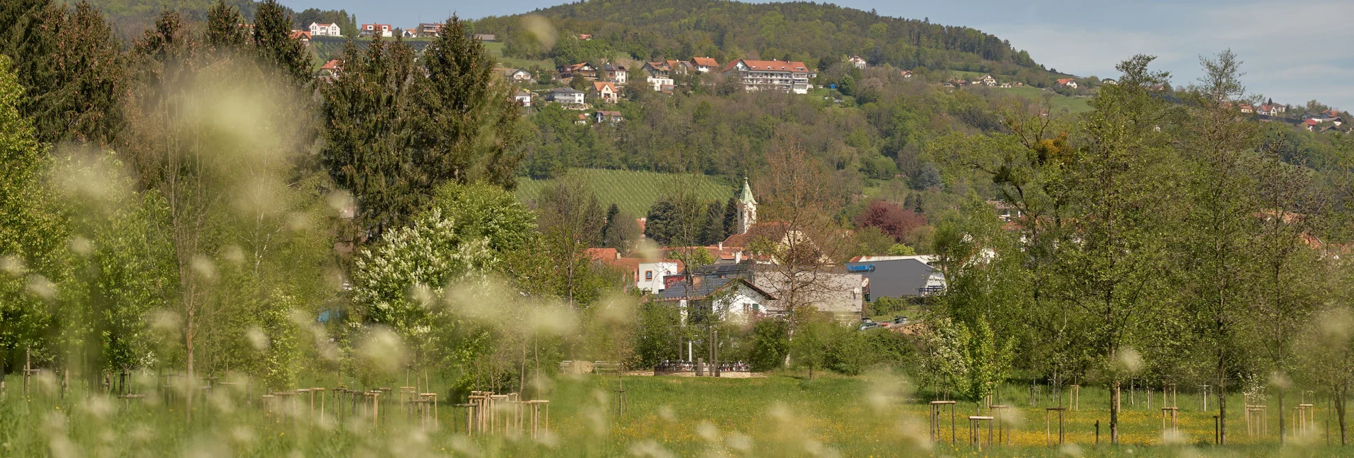 Spring landscape in Hartberg | © Oststeiermark Tourismus | Markus Lang-Bichl