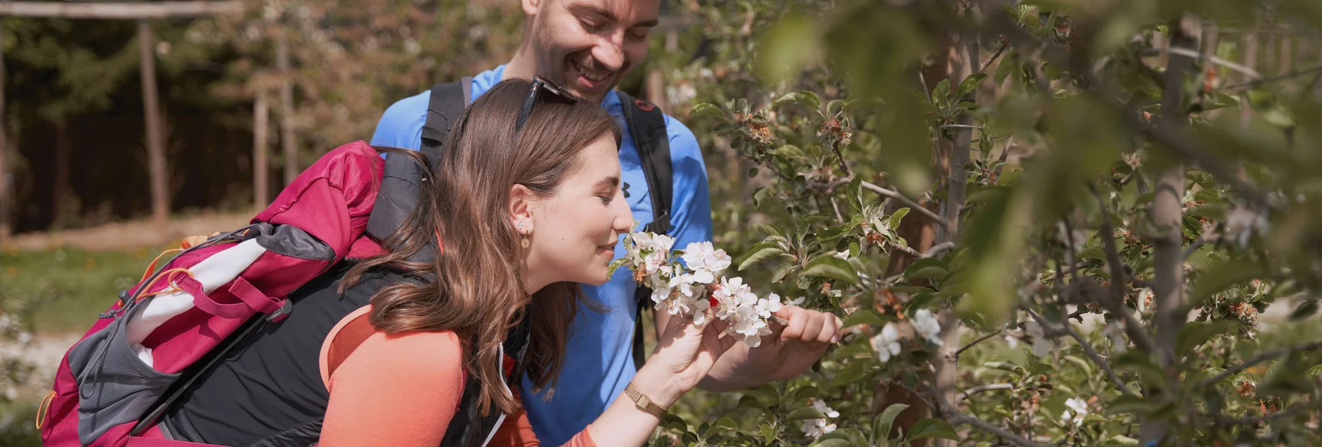 Hiking through the apple orchards in Puch near Weiz in Eastern Styria | ©  Oststeiermark Tourismus | Markus Lang-Bichl
