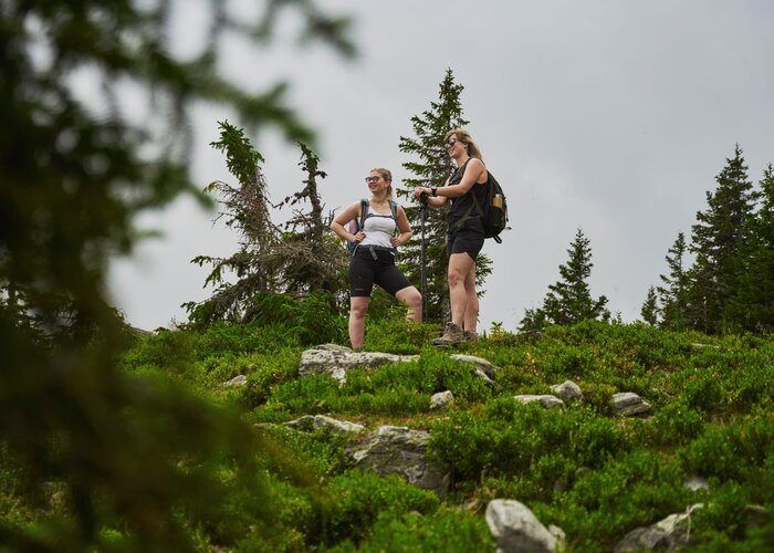 Wandern auf den Hochwechsel in der Oststeiermark | ©  Oststeiermark Tourismus | Markus Lang-Bichl