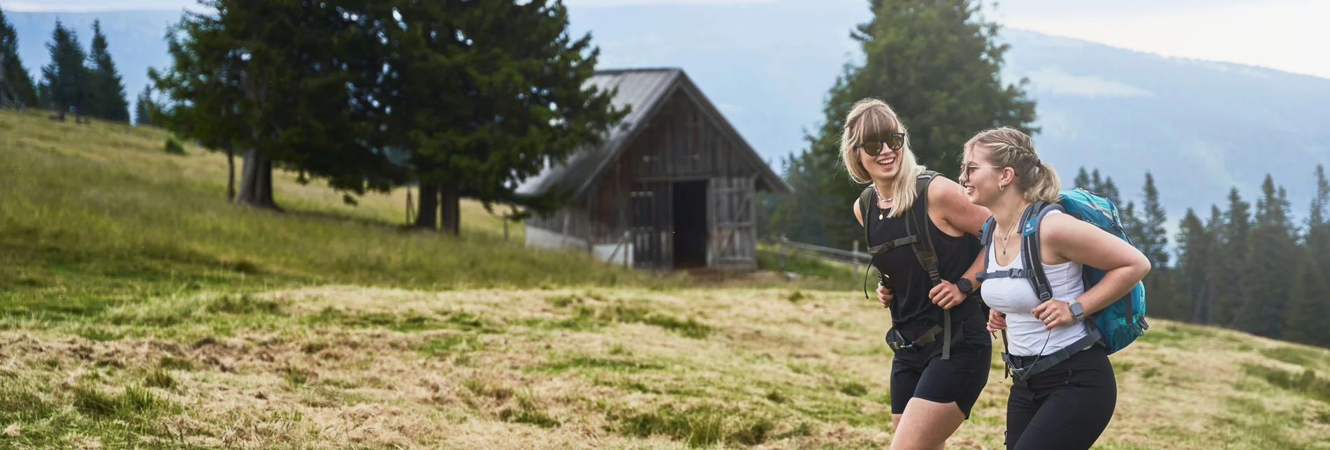 Hiking on the Hochwechsel in Eastern Styria | ©  Oststeiermark Tourismus | Markus Lang-Bichl
