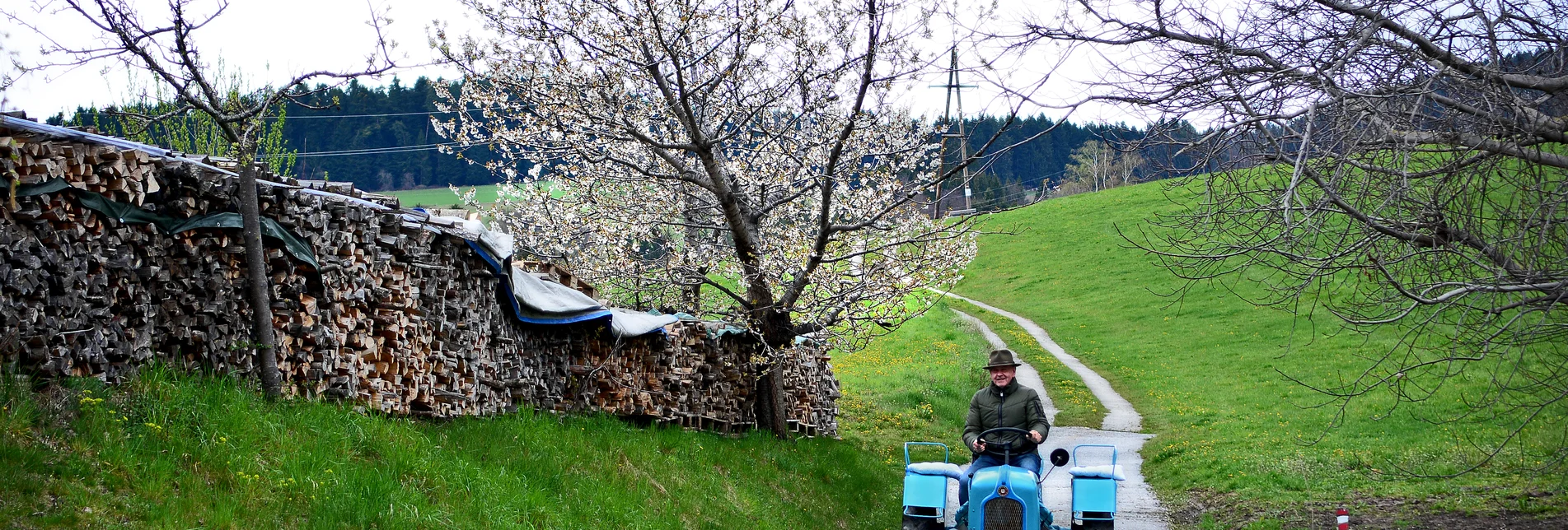 Traktor beim Ferienhaus DeBuigne im Pöllauer Tal | © Oststeiermark Tourismus | Christian Strassegger