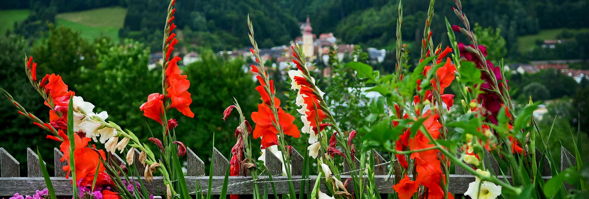 Flowers and greenery in the background | © Oststeiermark Tourismus | Christian Strassegger