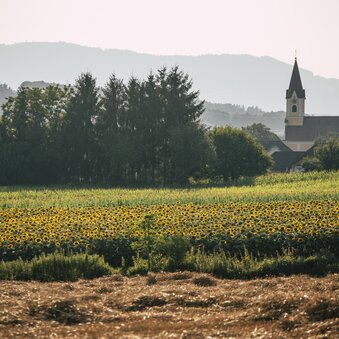 Kirche in Ebersdorf in der Oststeiermark | ©  Oststeiermark Tourismus |  Bernhard Bergmann