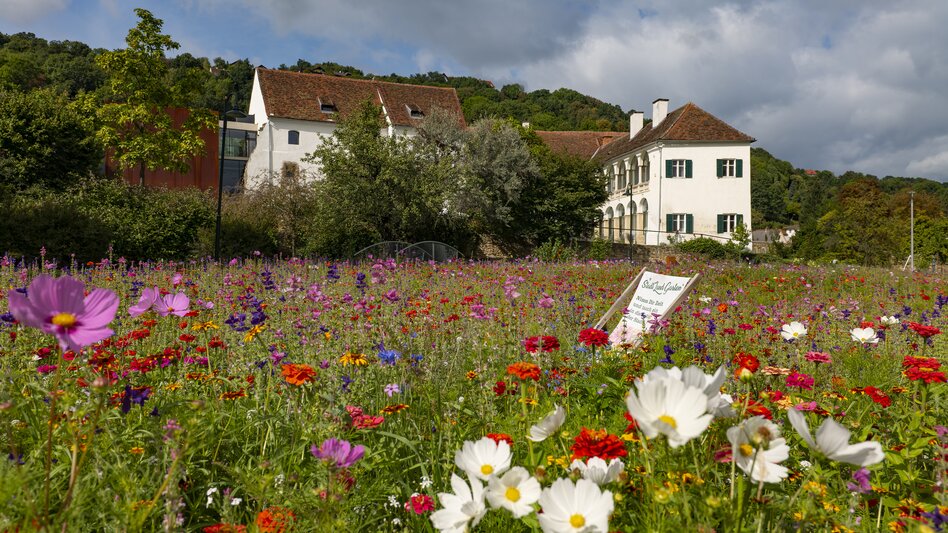 Schloss in Hartberg in der Oststeiermark