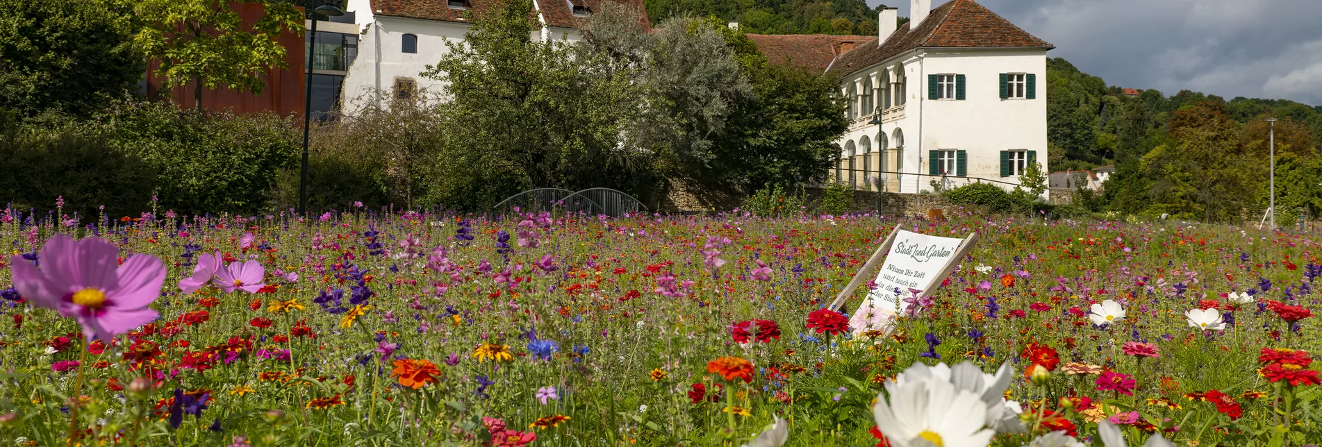 Schloss in Hartberg in der Oststeiermark