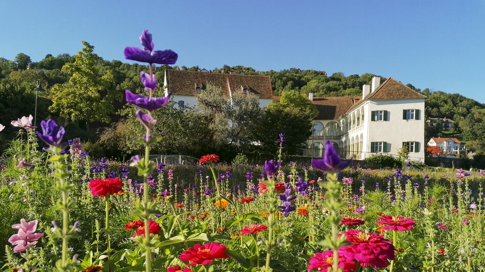 Schloss in Hartberg in der Oststeiermark