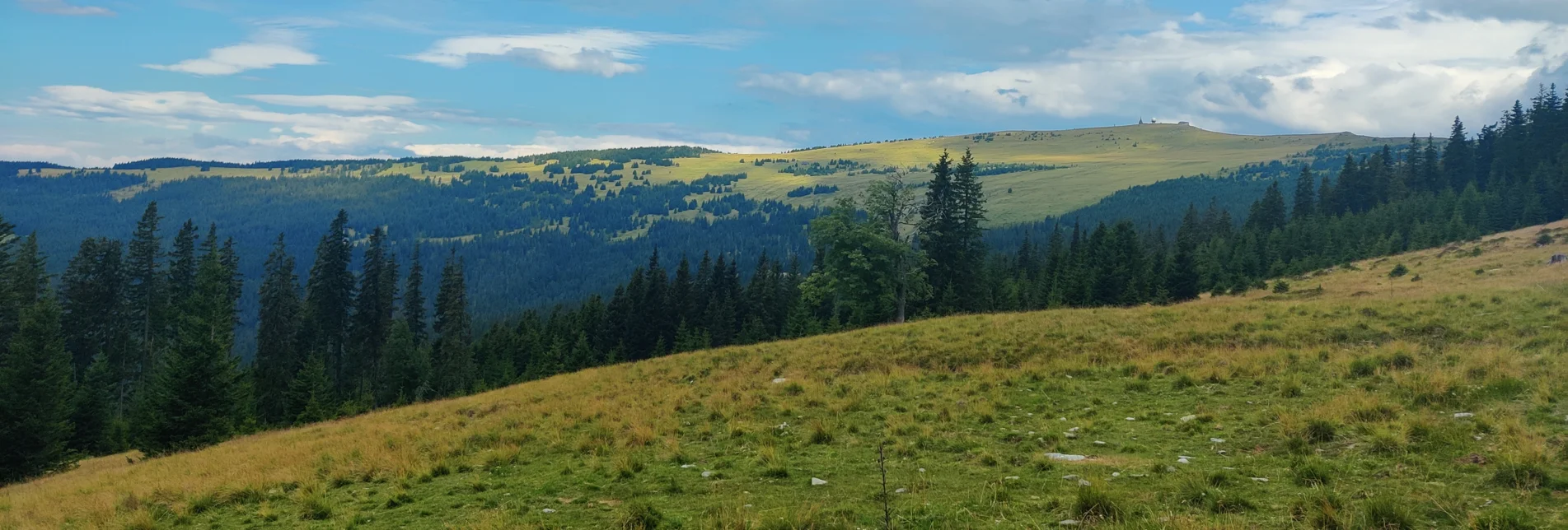 On the alp with a view of the Hochwechsel  | © TV Oststeiermark | Nicole Friesenbichler