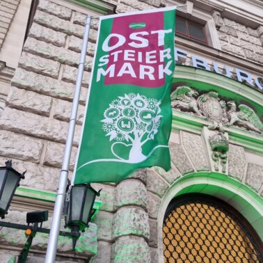 Oststeiermark Fahne beim Steirerball in Wien