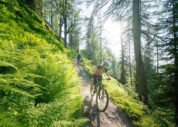 Reiteralm Trails | Christoph Oberschneider | © Schladming-Dachstein / Christoph Oberschneider