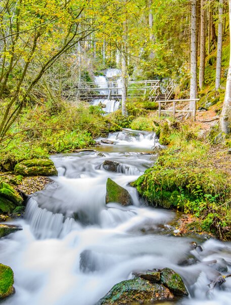 Bachlauf in der Graggerschlucht mit Brücke und Kaskadenwasserfall im Hintergrund