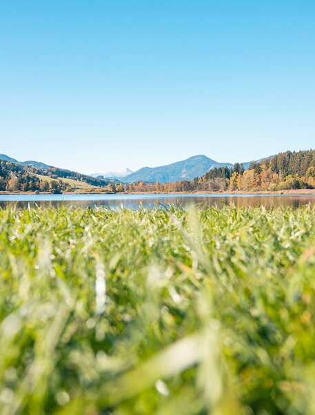 Furtner Teich im Herbs mit Gras im Vordergrund
