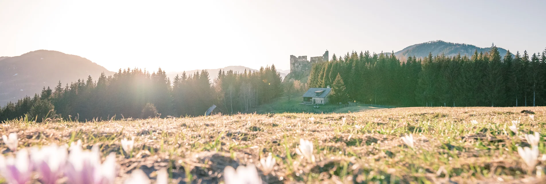 Steinschloss Frühjahr | © Rene Hochegger | TVB Murau Steinschloss Frühjahr | © Rene Hochegger | TVB Murau