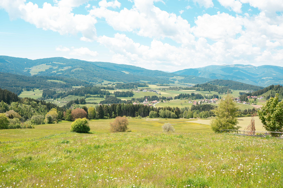 Blick auf Mühlen mit Wiese und Wald im Vordergrund