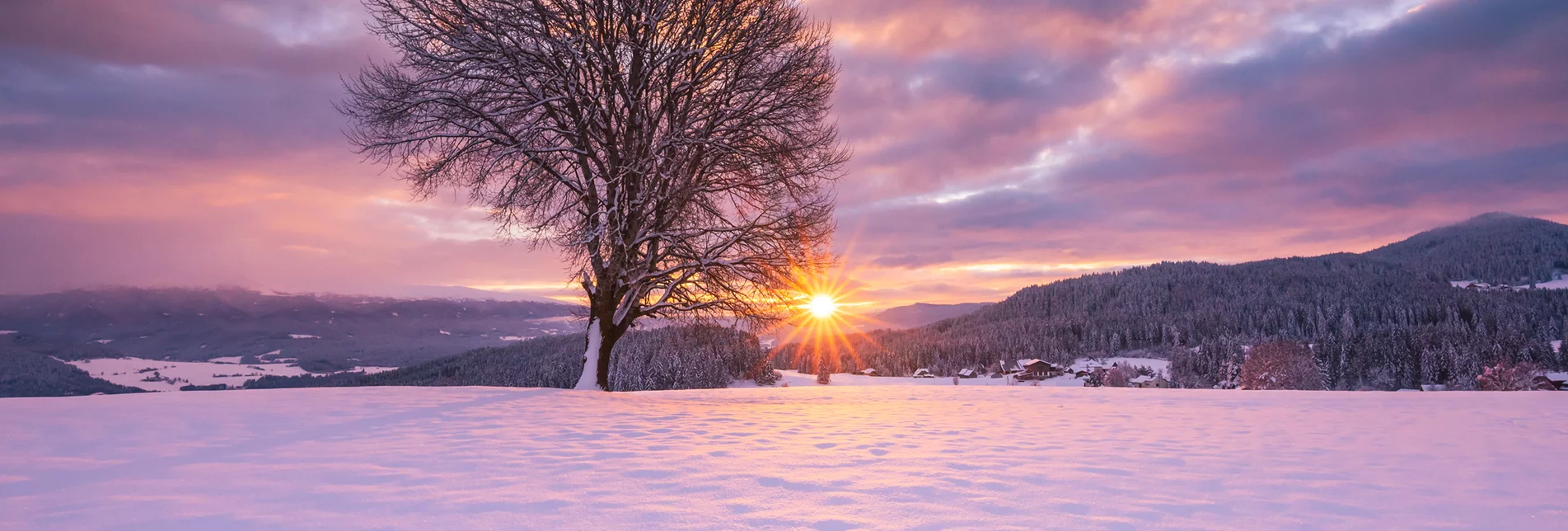 Baum Zeutschach Winter Sonnenuntergang | © TV Murau |  René Hochegger