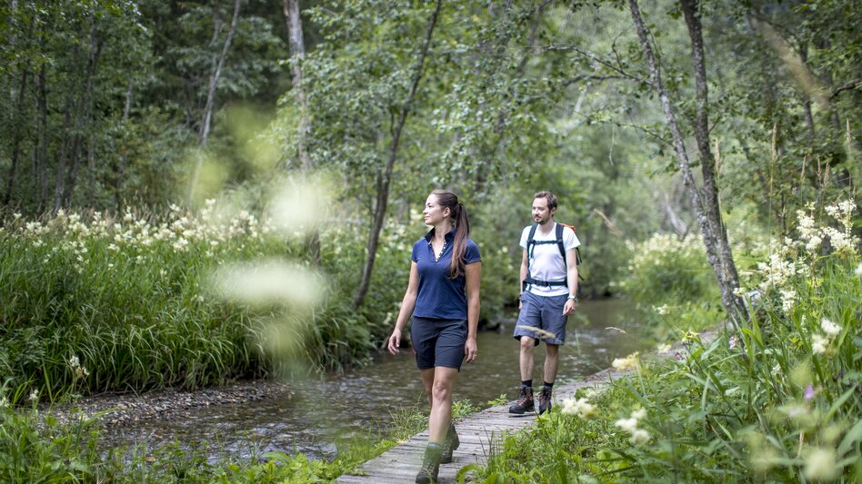 Wanderung am Holzsteg entlang des Bachlaufes im Hörfeld Moor