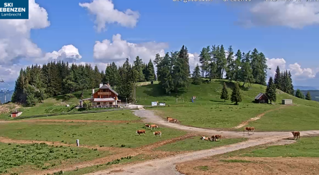 Bergstation Gondel Grebenzen