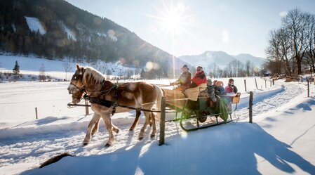 Kutschenfahrt St. Peter Winter | © Region Murau | Tom Lamm