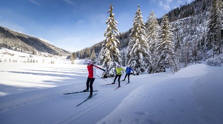 Langlaufeldorado Weirerteich | © Region Murau | Tom Lamm