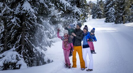 Winterwandern am Kreischberg | © TVB Region Murau | ikarus.cc