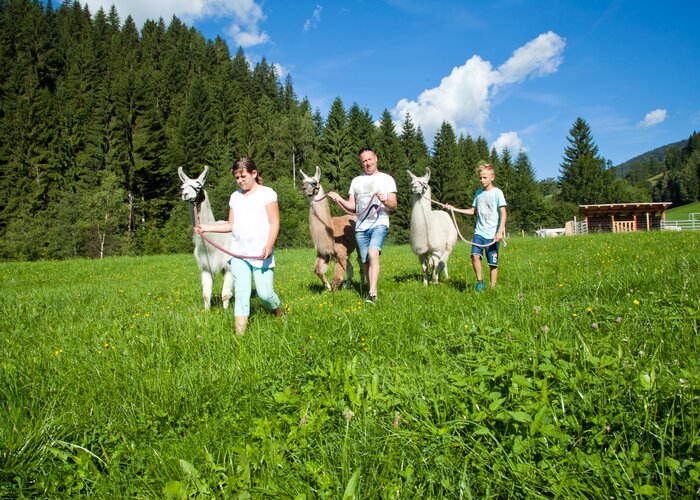 Lama Trekking | © TV Erlebnisregion Graz | Werner Derp